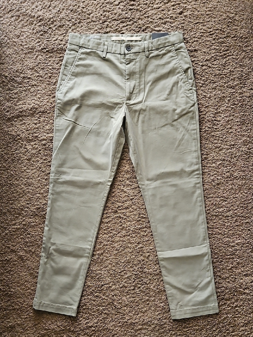 Banana Republic Slim Lived-In Chinos in Desert Thyme 31x30